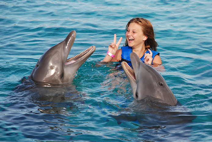 Dolphin Swim - Dolphins Singing