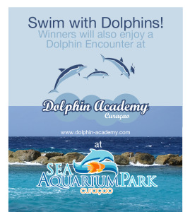 dolphin academy