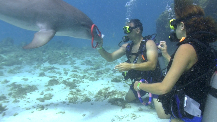Blissful & Buoyant underwater world in Curaçao