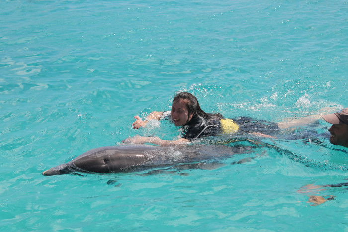 Atara & dolphin-assisted therapy at CDTC